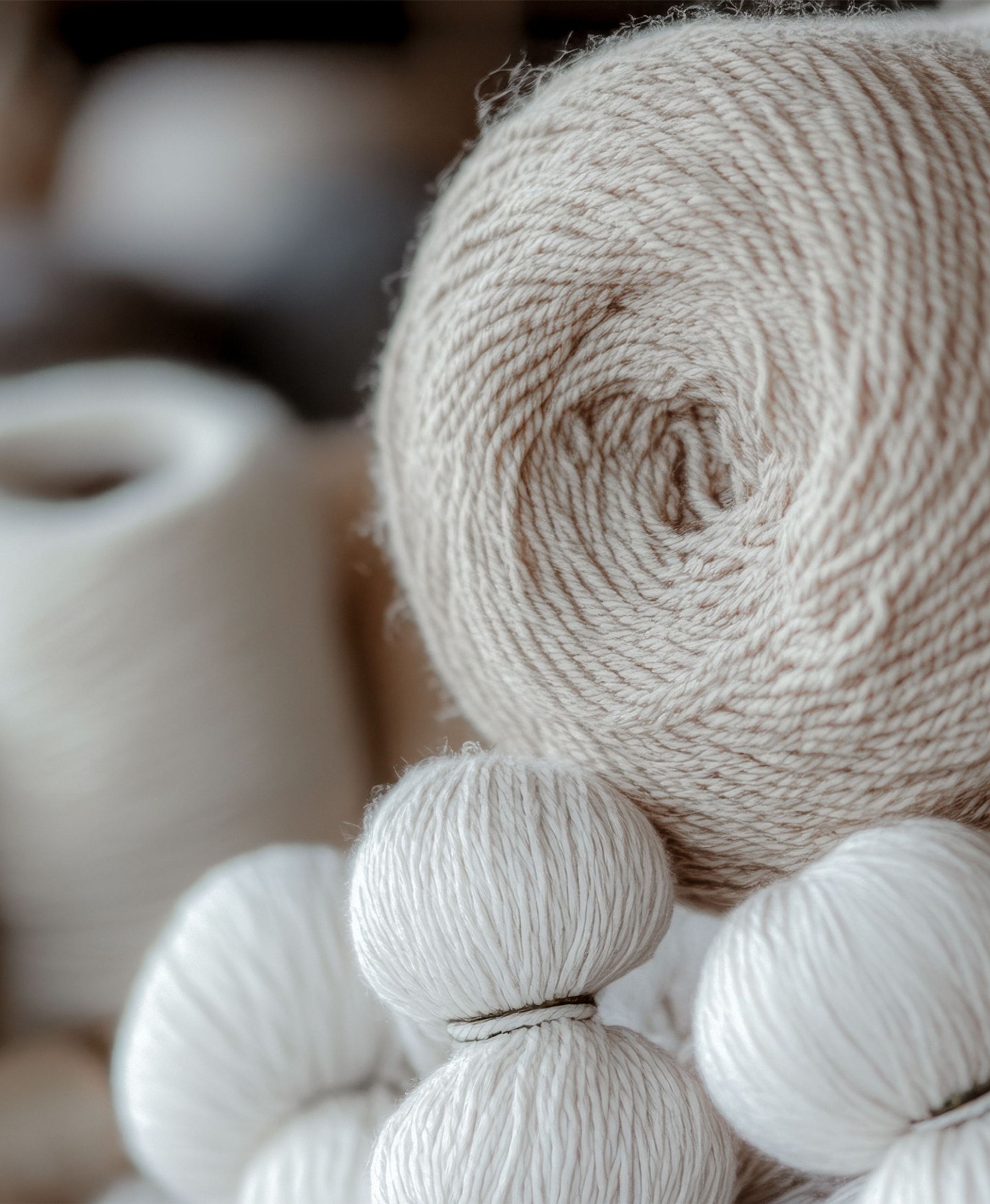 Natural Fibres 1536x1868px